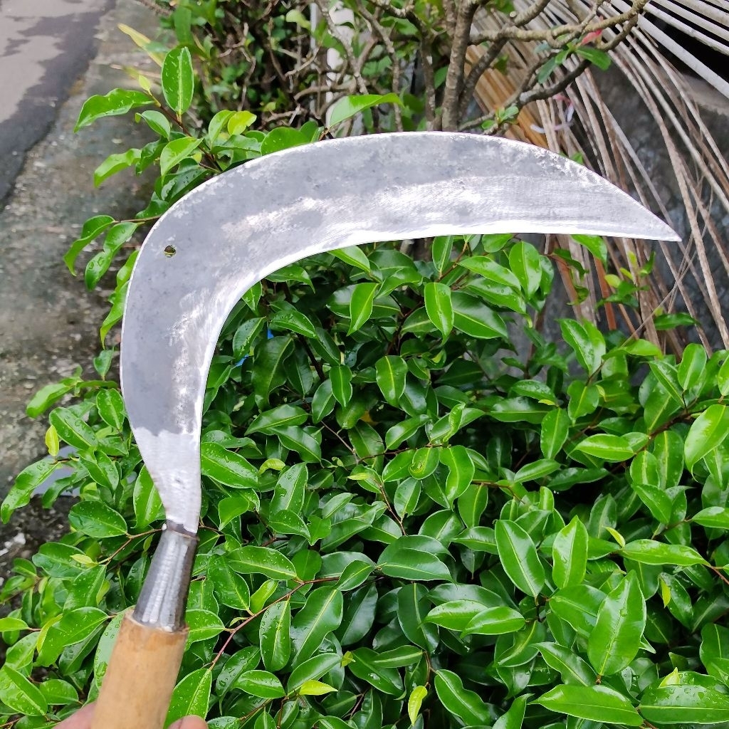 Jual pengaritan rumput dan tebas ringan bahan plat baja ringan siap ...