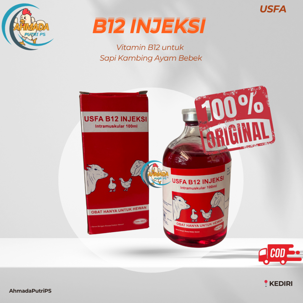 Jual VITAMIN B12 100 ML USFA - Vitamin b12 Injeksi untuk hewan Sapi ...