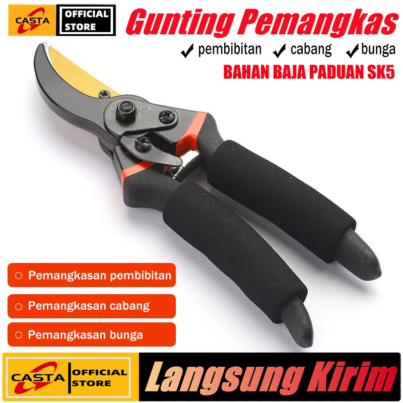 Jual CASTA Gunting Pemangkas Pisau Emas Bisa Potong Ranting Bunga ...