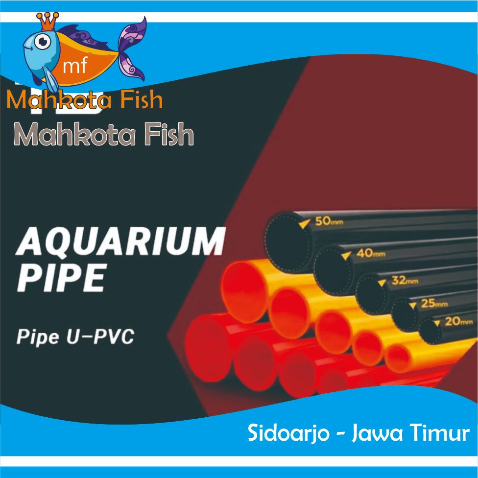 Jual Pipa Aquarium Merah TY | Pipa Aquascape | Pipa Merah TY Aquarium ...