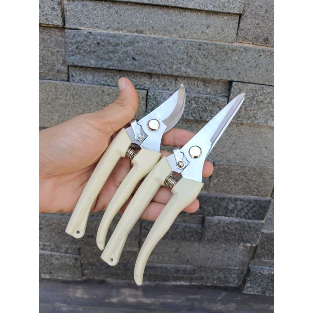 Jual Gunting dahan ranting tanaman Gunting Bonsai. Peralatan pruning ...