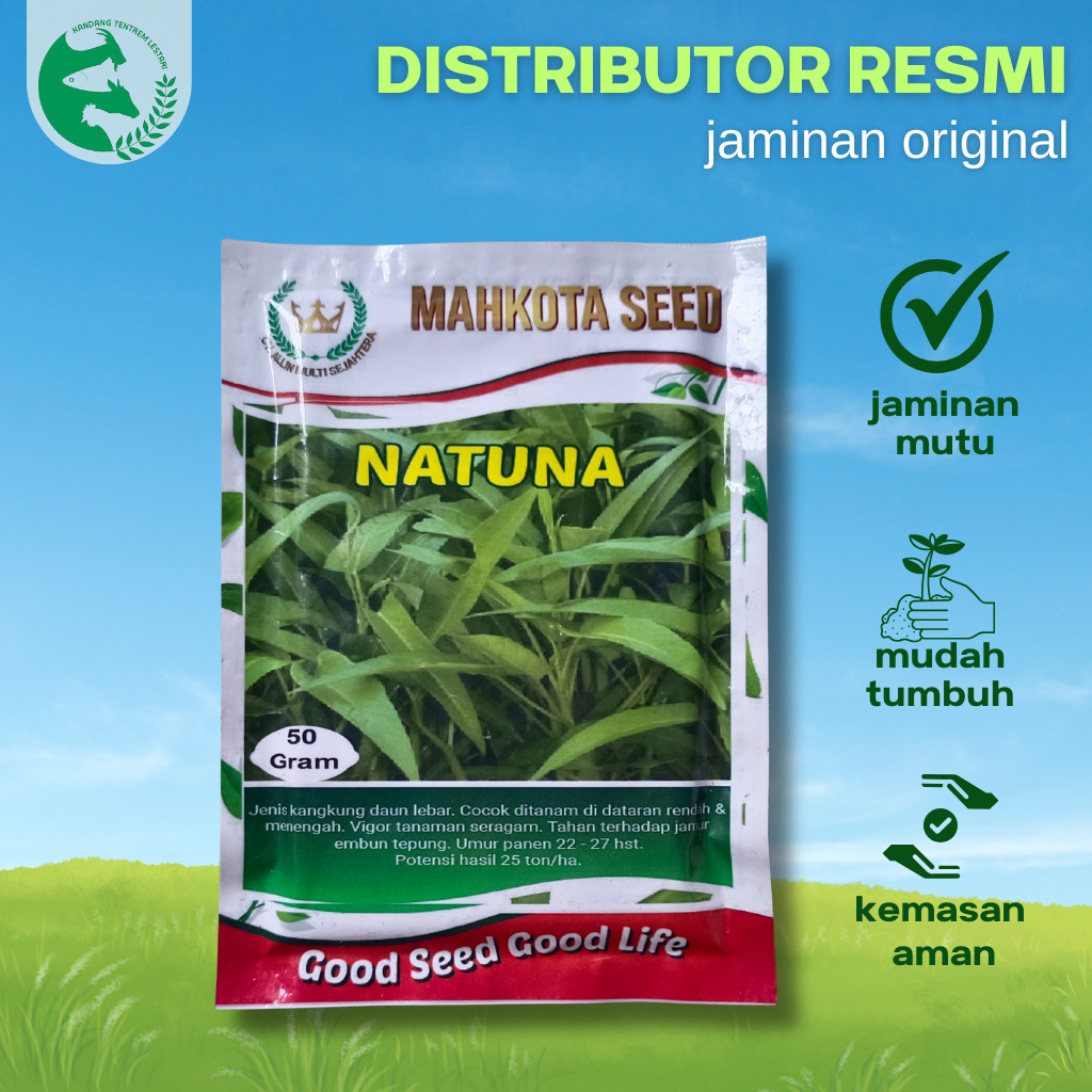 Benih Kangkung Daun Lebar NATUNA 500 gram Mahkota Seed Unggul Tahan Jamur Daun Tepung