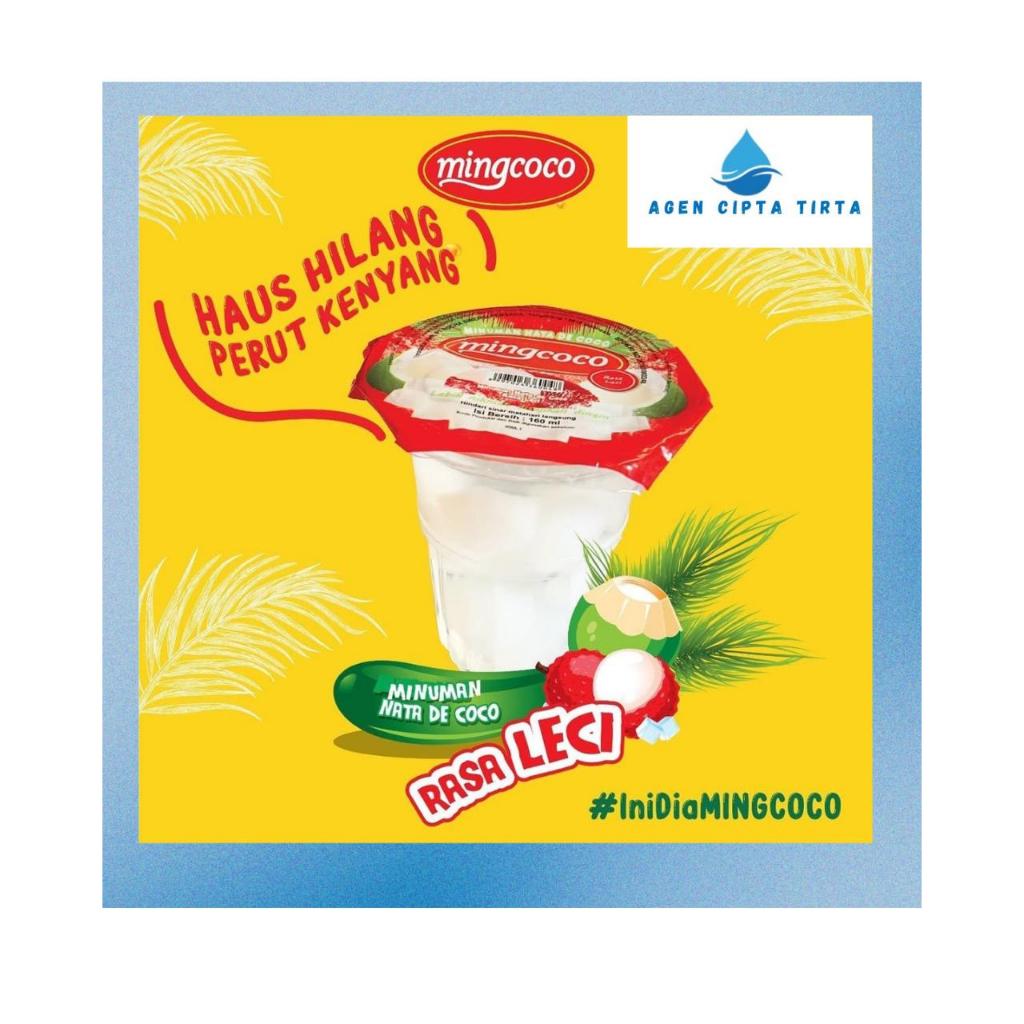 Jual Mingcoco sari kelapa minuman Nata De Coco 1dus Rasa Leci | Shopee ...