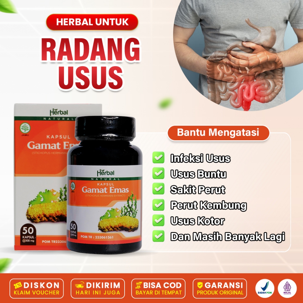 Kapsul Gamat Emas Original Obat Radang Usus Infeksi Peradangan pada Usus Sembelit Diare Usus Buntu