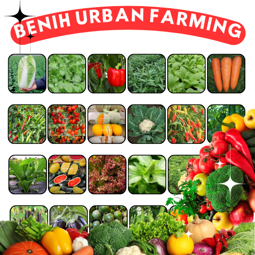 Aneka Benih Sayuran dan Buah Lengkap Bibit Tanaman Serba Seribu