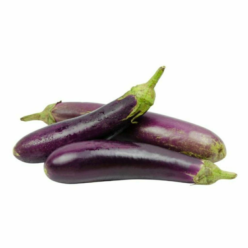Jual Terong ungu segar 500 gr | Shopee Indonesia