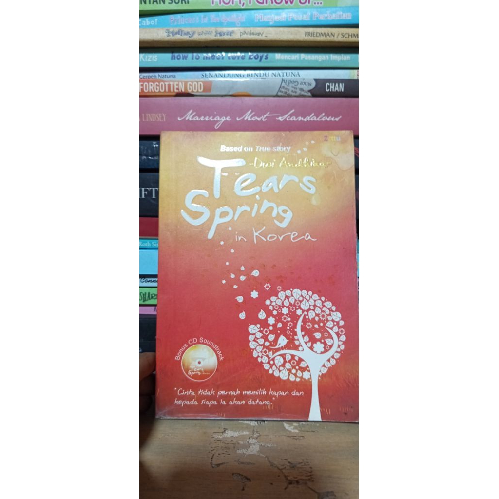 Jual Buku Tears Spring in Korea by Dwi Andhika | ILMOE STORE Original ...