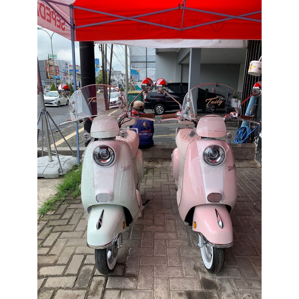 TIDAK TERIMA COD TAHAN AIR!! Sepeda Listrik Tailg GR51 - Power 800 Watt