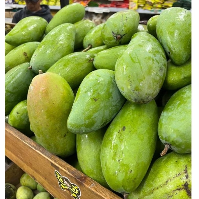 Jual Mangga Kiojay/Kiyojay 1kg | Shopee Indonesia