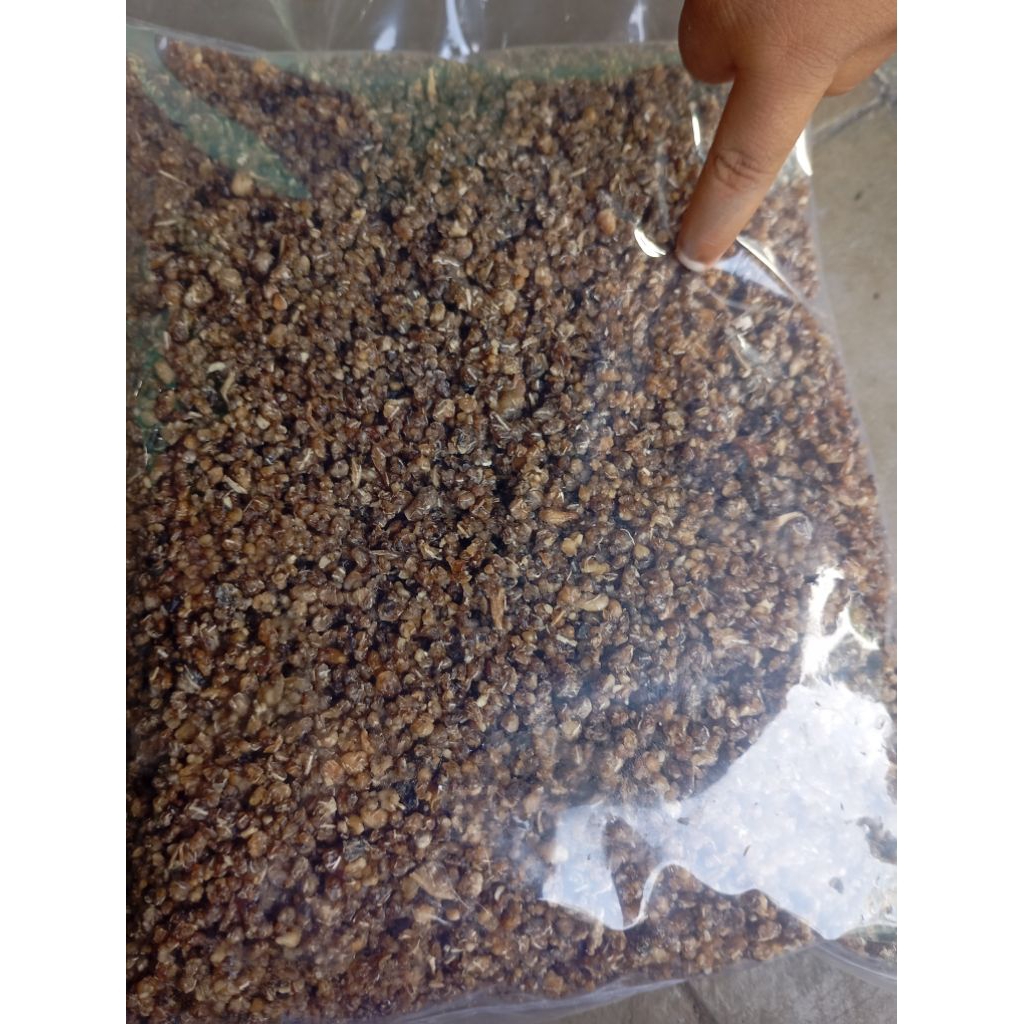 Jual Nasi tiwol instan tanpa pengawet kemasan 500grm | Shopee Indonesia