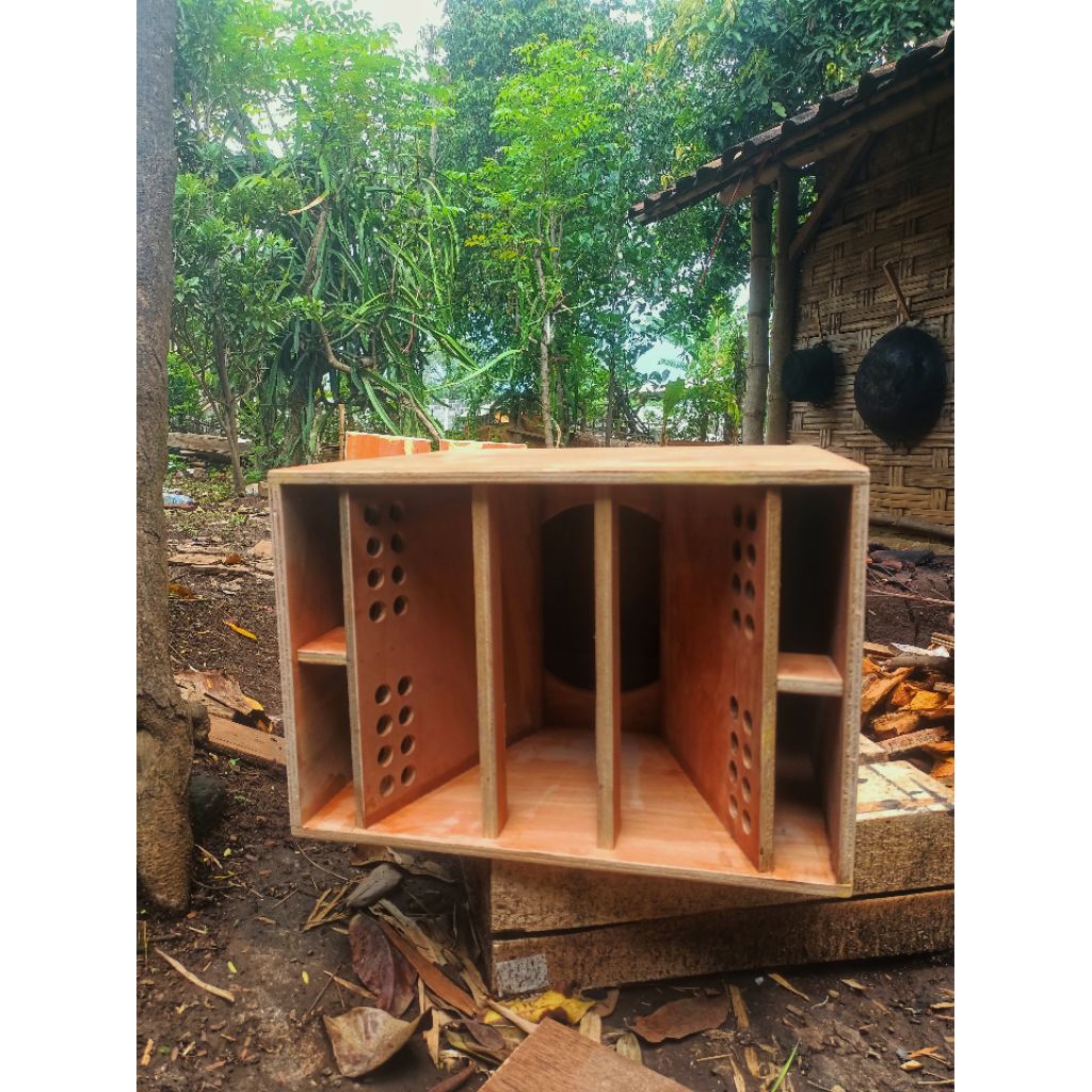 Jual Box Midle Paratop 10 inch 12ml dan 15ml | Shopee Indonesia