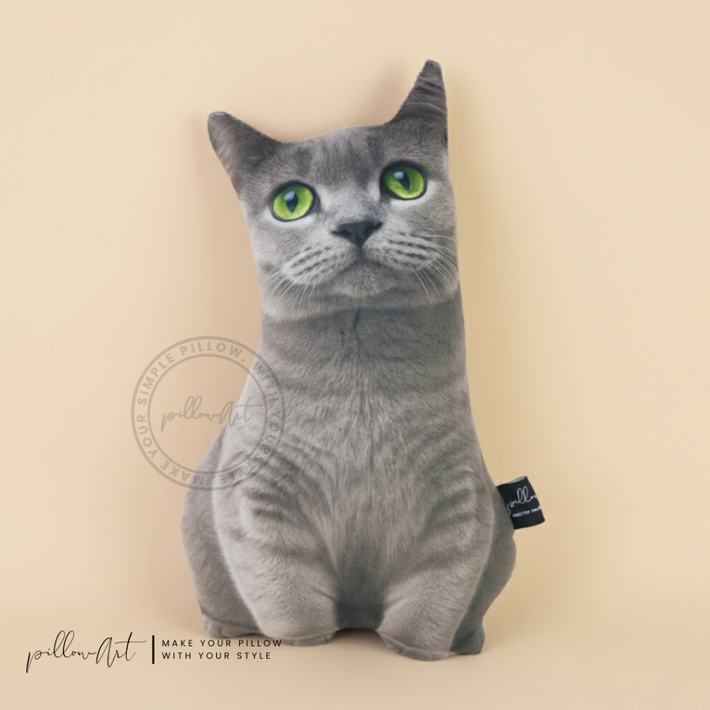 Kucing Abu