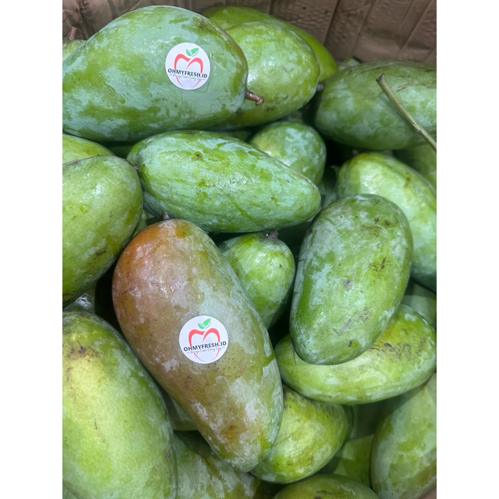 Jual Mangga Kiojay Terlengkap & Harga Terbaru Juli 2026 | Shopee Indonesia