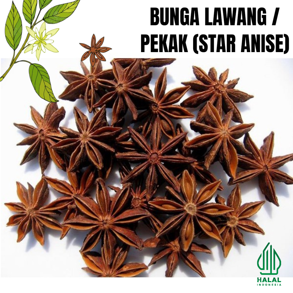 Jual Pekak / Bunga Lawang 1kg/ Star Anise / Rempah / JSR 100% PREMIUM ...