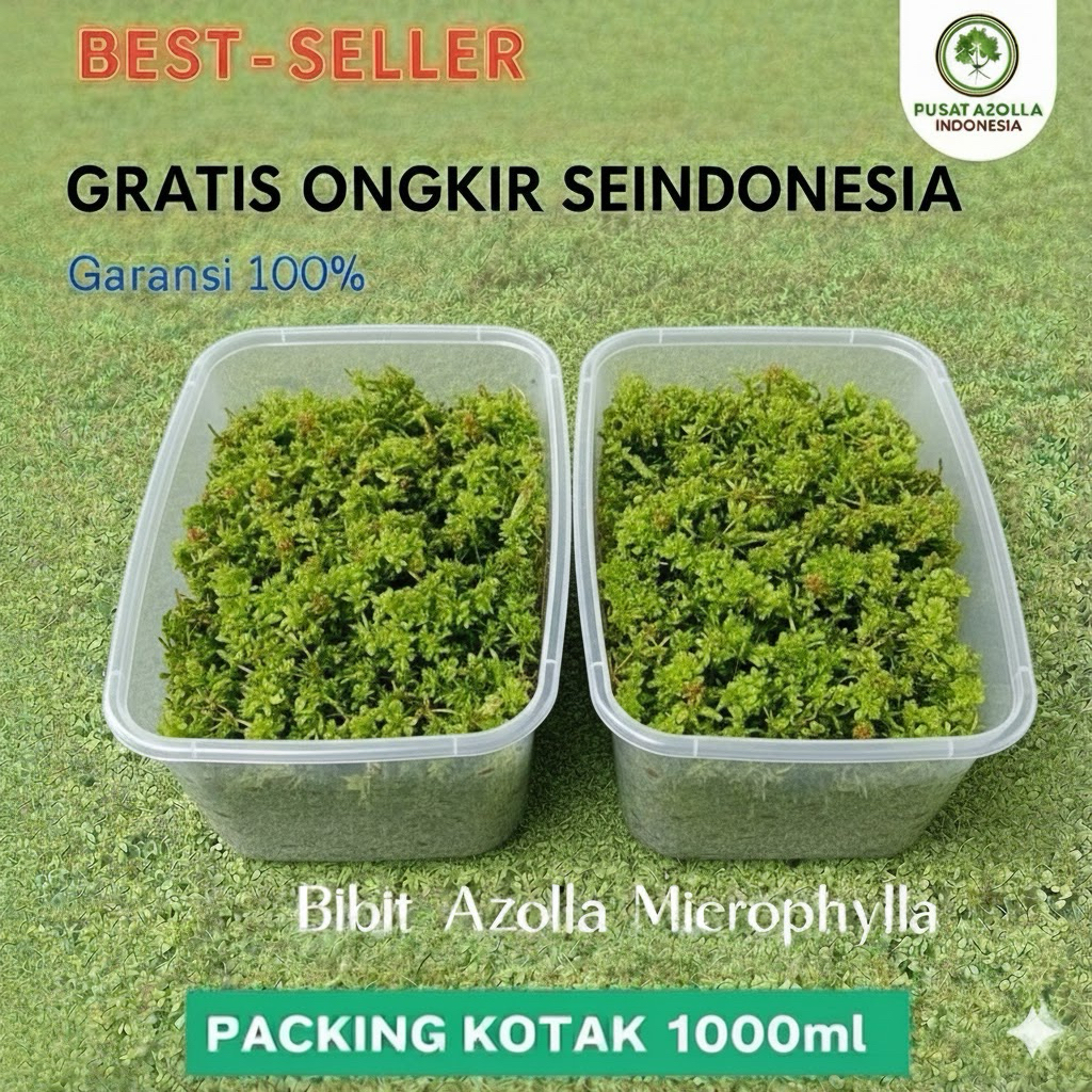 Produk Pusat Azolla Indonesia | Shopee Indonesia