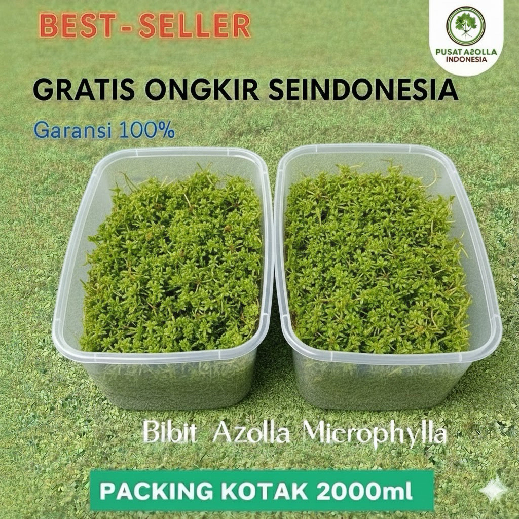 Produk Pusat Azolla Indonesia | Shopee Indonesia
