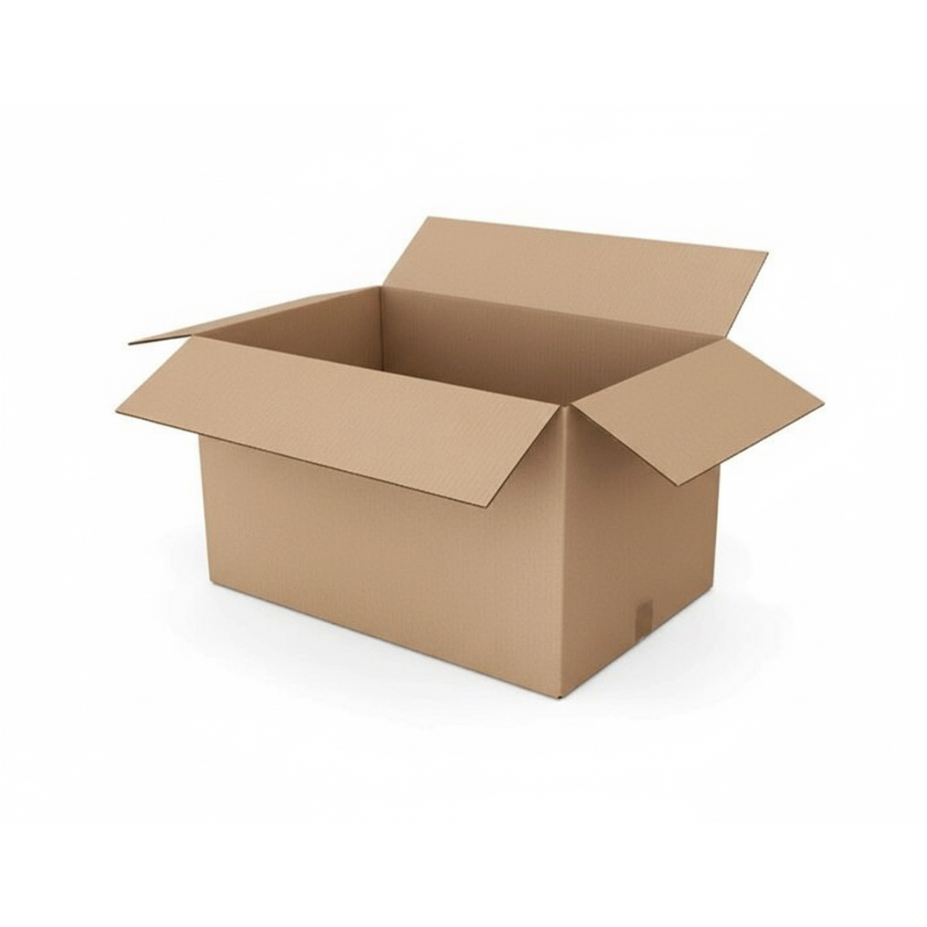 Jual DOUBLE / EXTRA BOX ( SAFETY PACKING ) | Shopee Indonesia