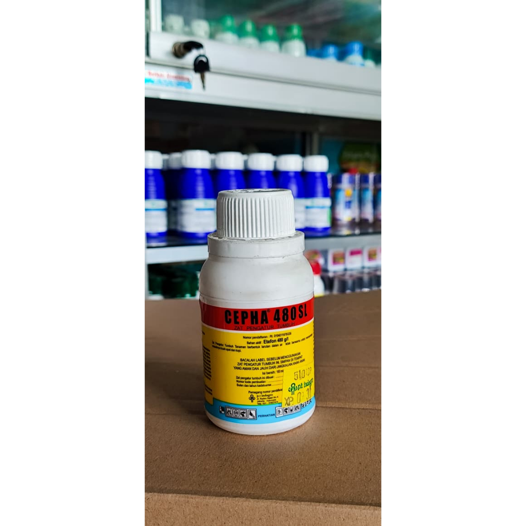 Chepa 100ml untuk mempercepat pematangan buah