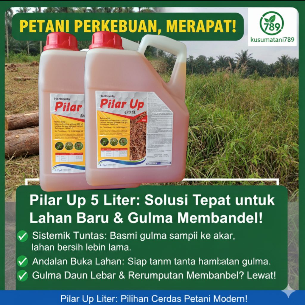 Jual PROMO Racun Rumput Super Herbisida Pilar Up 480 SL 5 Liter ...
