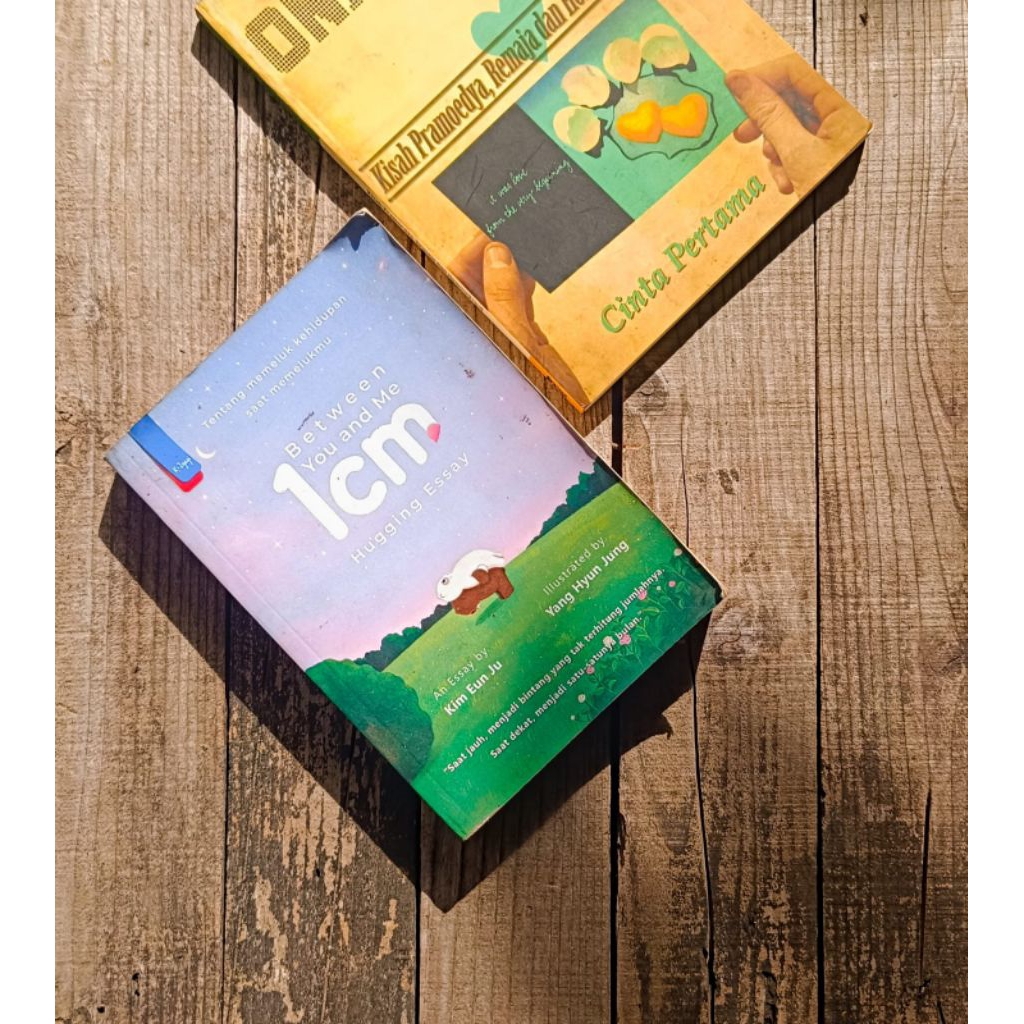 Jual Buku langka between you and me 1Cm - Kim Eun ju | Shopee Indonesia