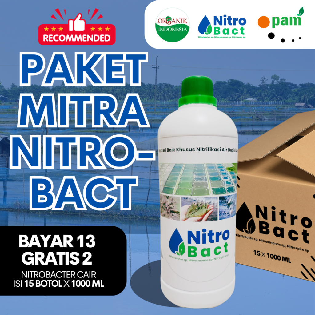 Jual Nitrobact - Nitrifikasi Kolam Ikan dan Udang (Nitrobacter ...