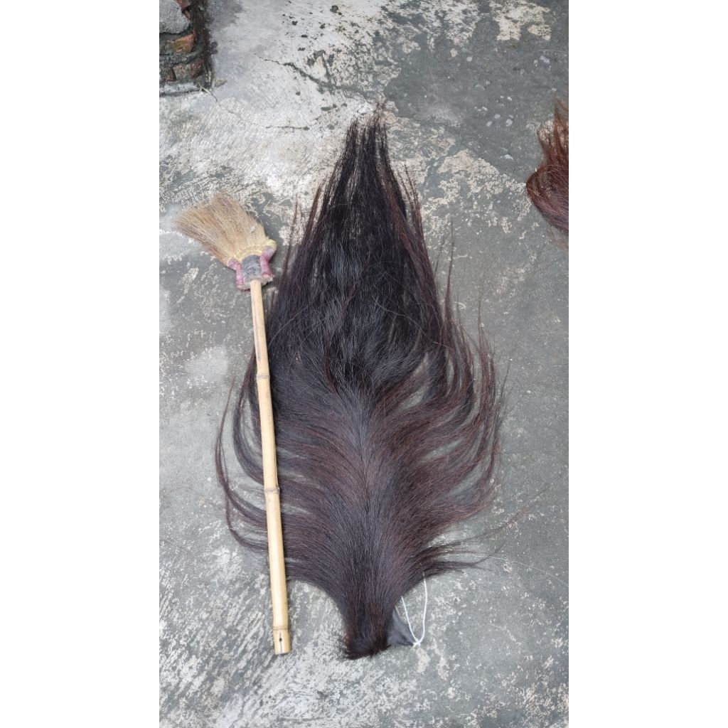 Jual Rambut kuda, Ekor dan suri kuda | Shopee Indonesia