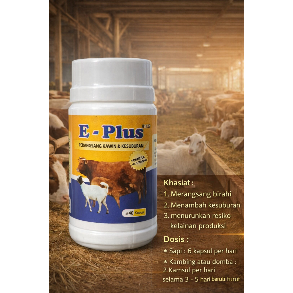 Jual E-Plus Perangsang Kawin Kesuburan Hewan 40 Kapsul Sapi Kambing ...