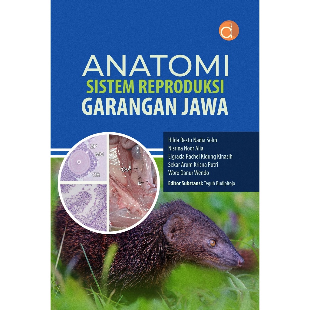 Jual Buku Anatomi Sistem Reproduksi Garangan Jawa / DP13423A | Shopee ...