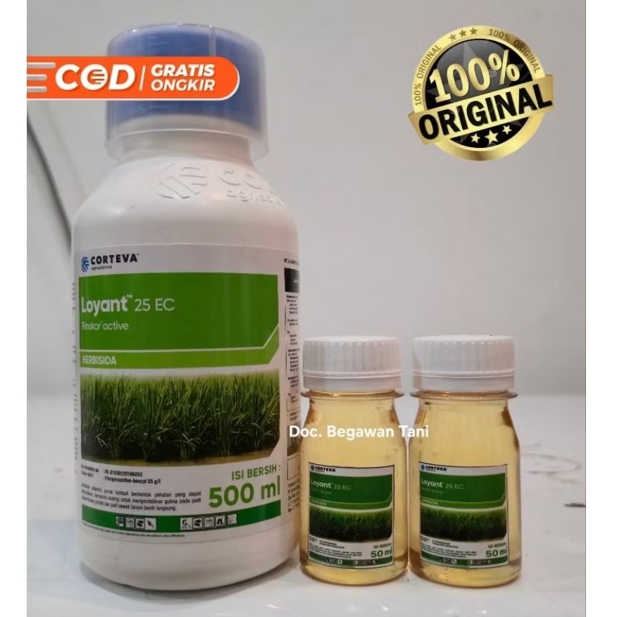 Jual Loyant Terlengkap & Harga Terbaru Juli 2026 | Shopee Indonesia