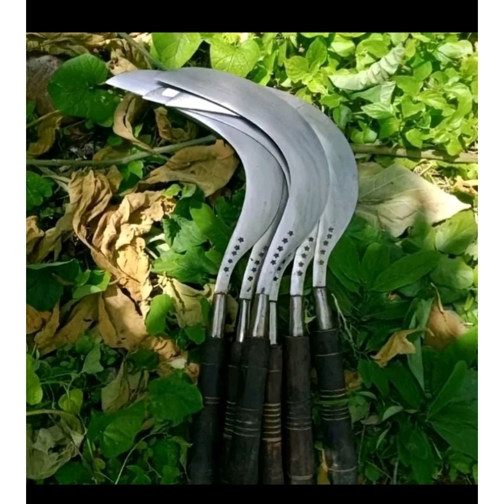 Jual sabit rumput bahan baja di sepuh | Shopee Indonesia