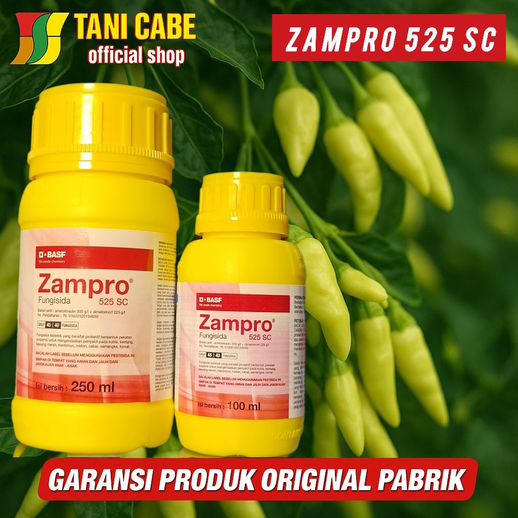 Jual Fungisida zampro 525 sc mengatasi busuk daun dan busuk batang ...