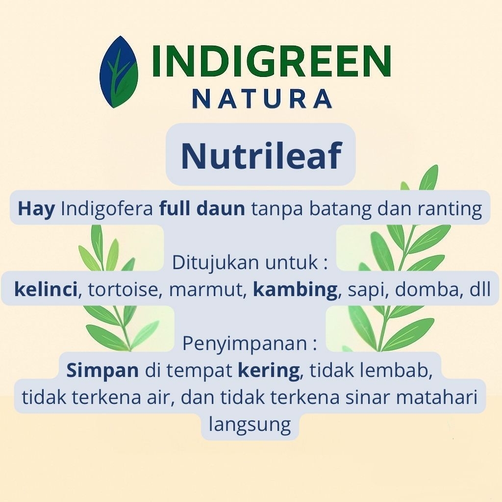 Jual Hay Indigofera Full Daun Kering Murni Daun Pakan Ternak Pakan ...