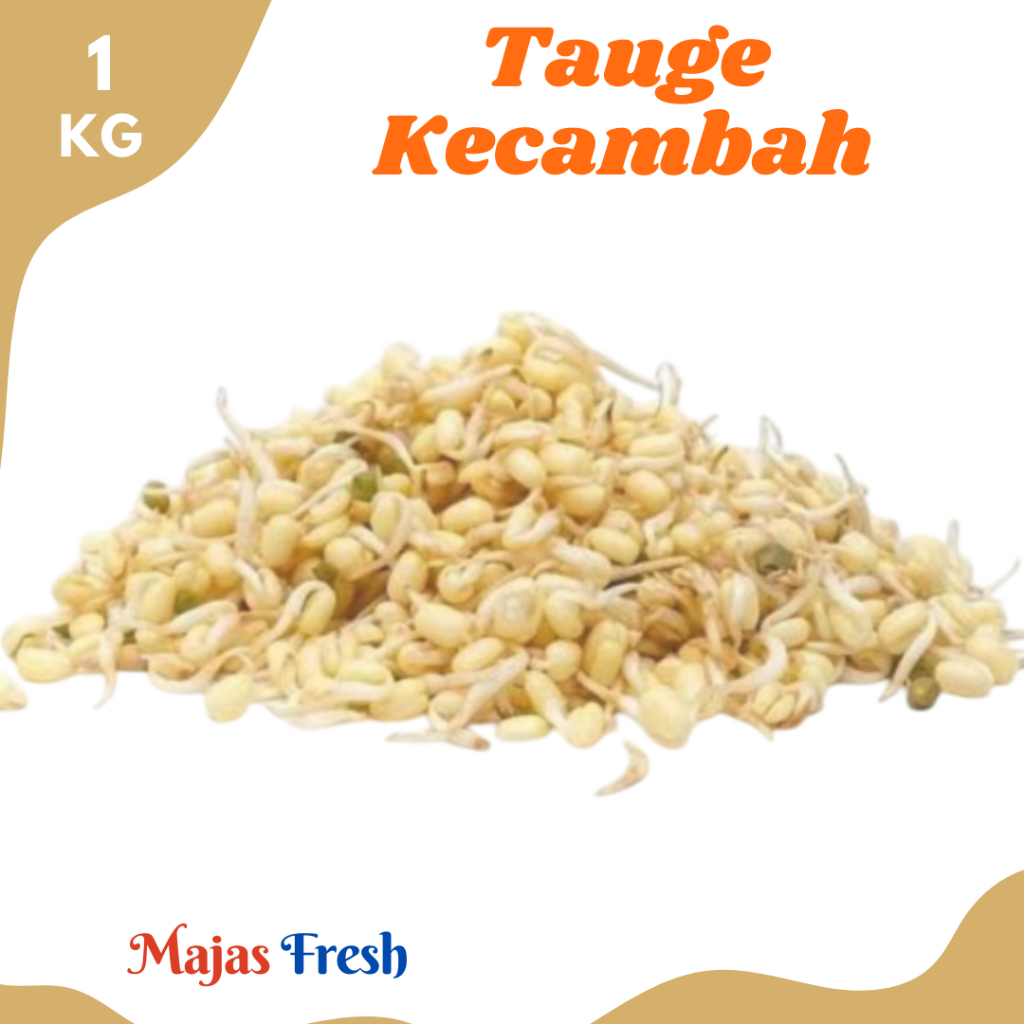 Jual TAUGE KECAMBAH Segar - Sayur Toge Kedelai Pendek Fresh | 1.000gr ...