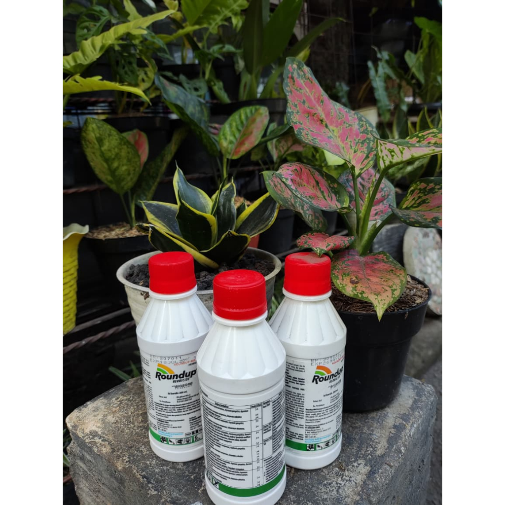 Jual Roundup Pembasmi Rumput Liar 200ml 486 SL Biosorb Herbisida ...