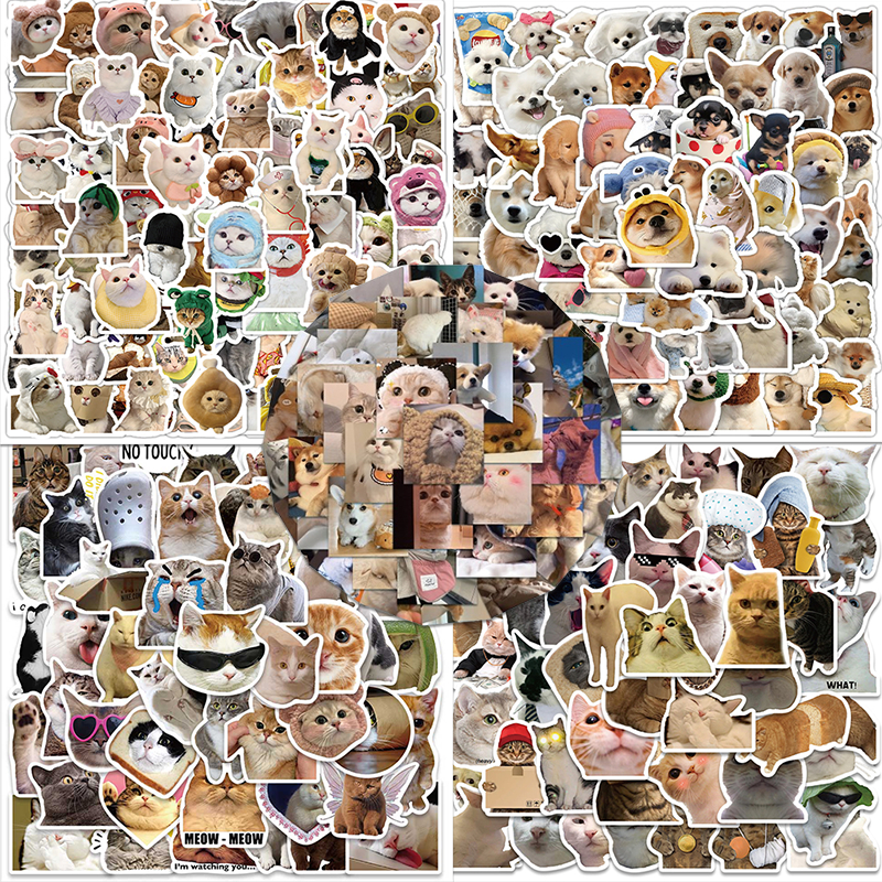 Jual Stiker Kucing Lucu Terlengkap & Harga Terbaru Juni 2026 | Shopee ...