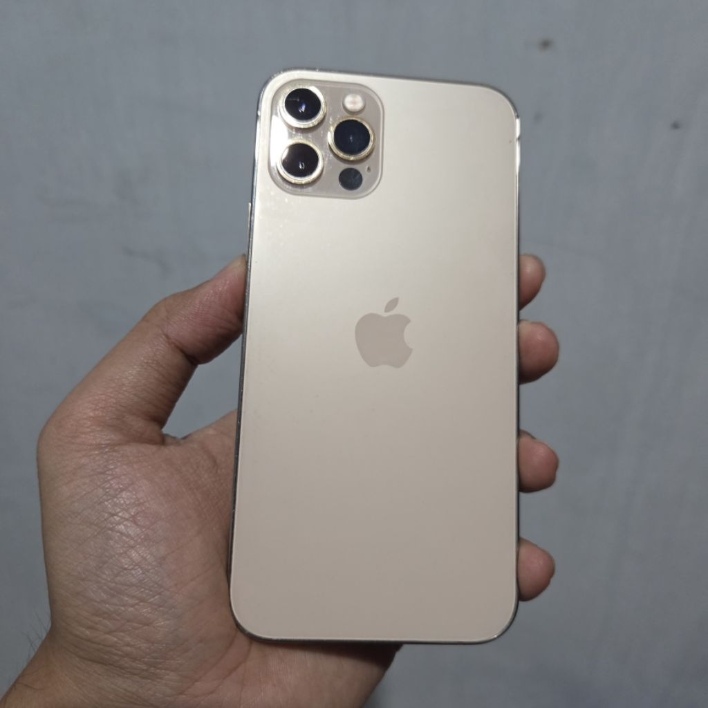 Jual iPhone 12 pro 128Gb Gold kondisi baca deskrispi | Shopee Indonesia