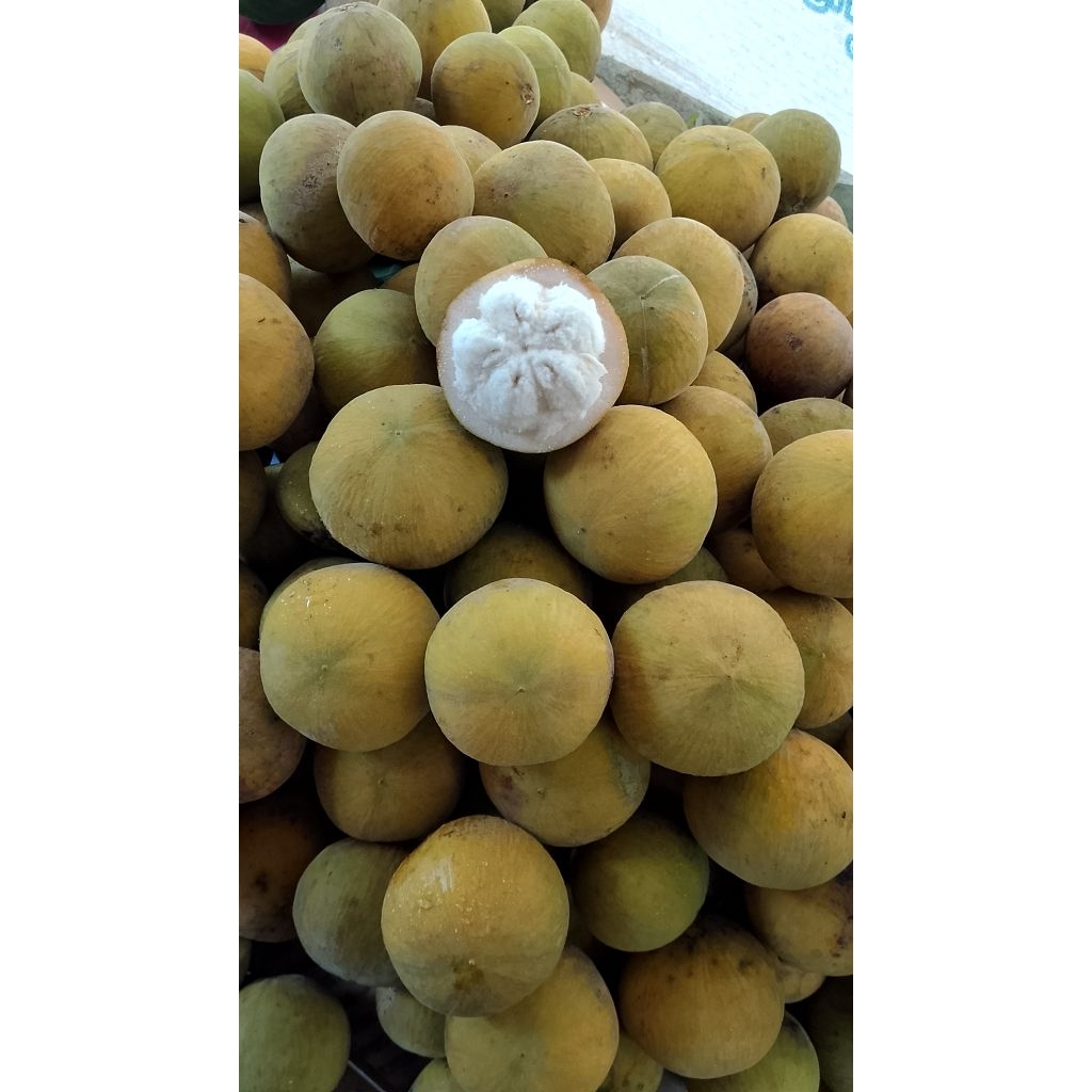 Jual buah kecapi mateng ,,asli manis segar 500g ukuran sedang | Shopee ...