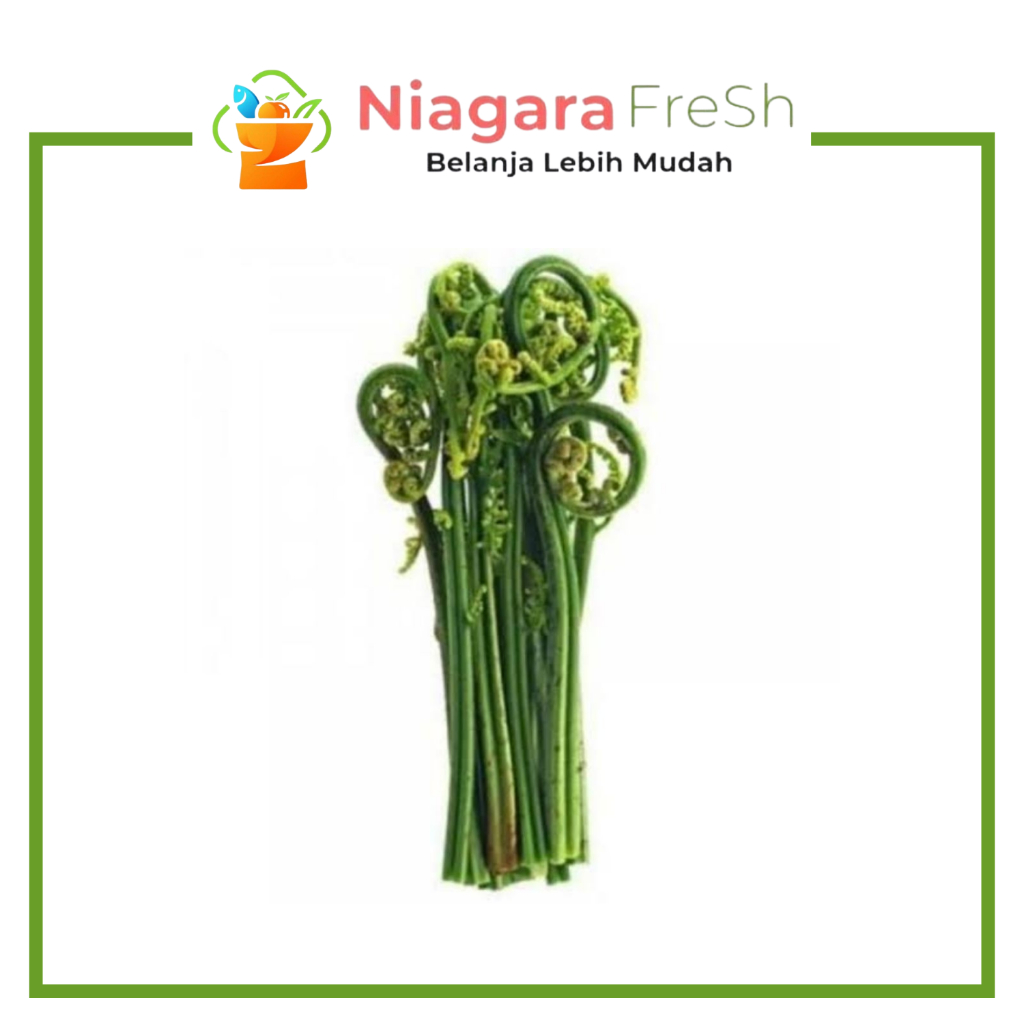 Jual Sayur Pakis Terlengkap & Harga Terbaru Juni 2026 | Shopee Indonesia