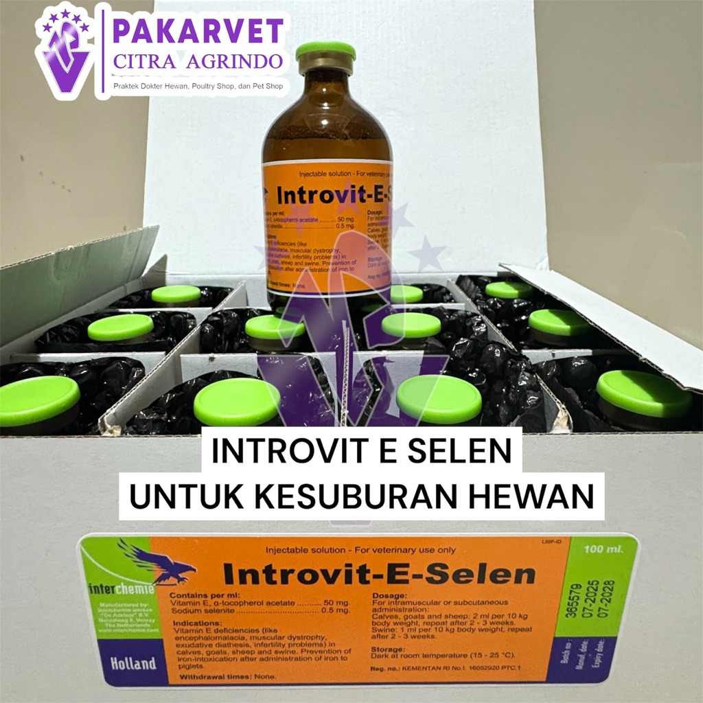 Jual Introvit E Selen Injeksi 100ml - Selenium Meningkatkan Daya Tahan ...