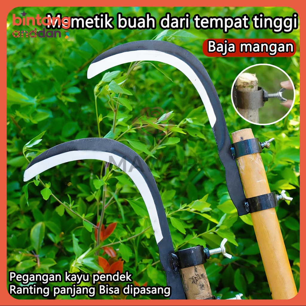 Jual [Ready] Adjustable Sabit Pisau pinang untuk memotong rumput air ...