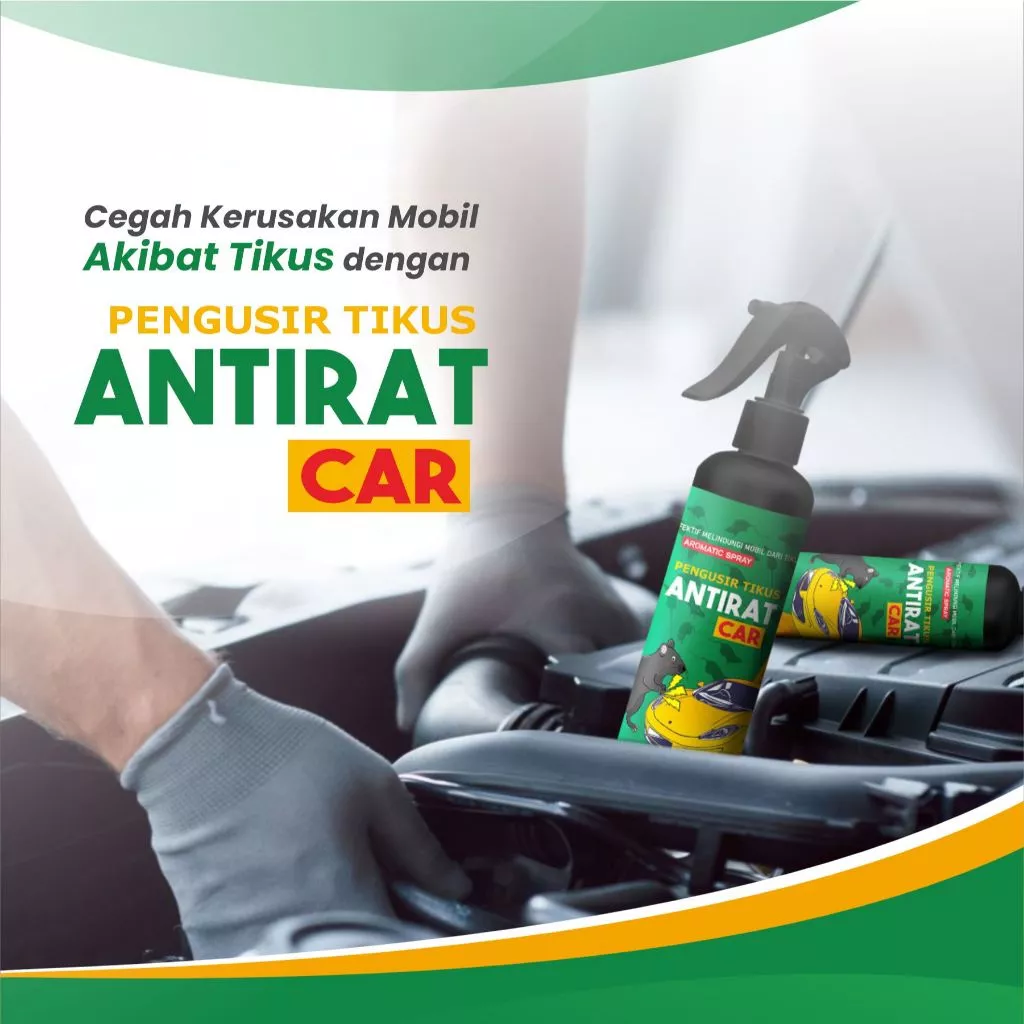 Mengapa Harus Antirat 1