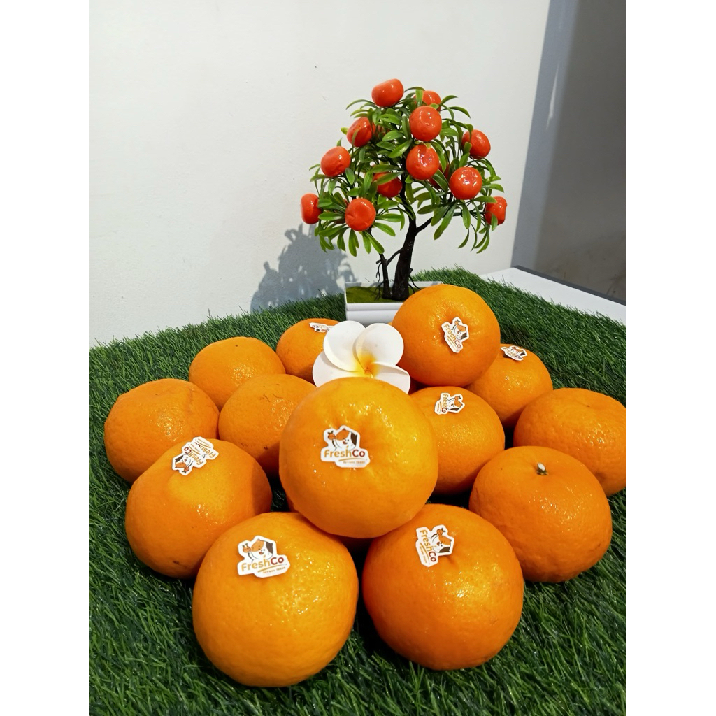 Jual Buah Wogan Madarin jeruk mandarin Wokam wogam mandarin | Shopee ...