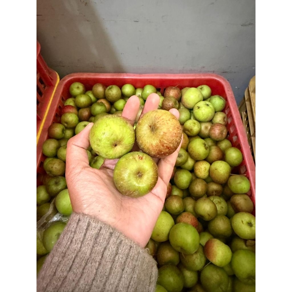 Jual apel rome beuty super mini 1kg isi 35-45 biji rasa asam manis ...