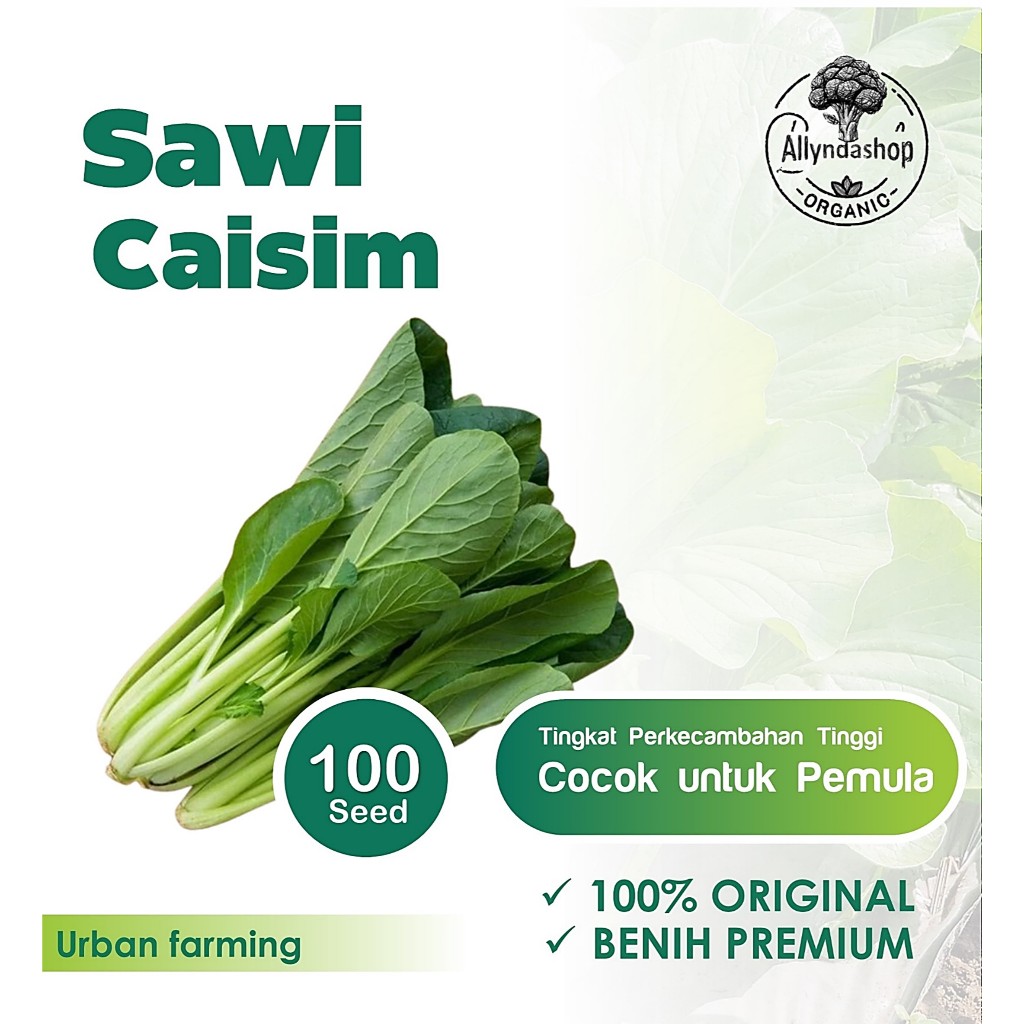Benih Bibit Sayuran Sawi Caisim Unggul