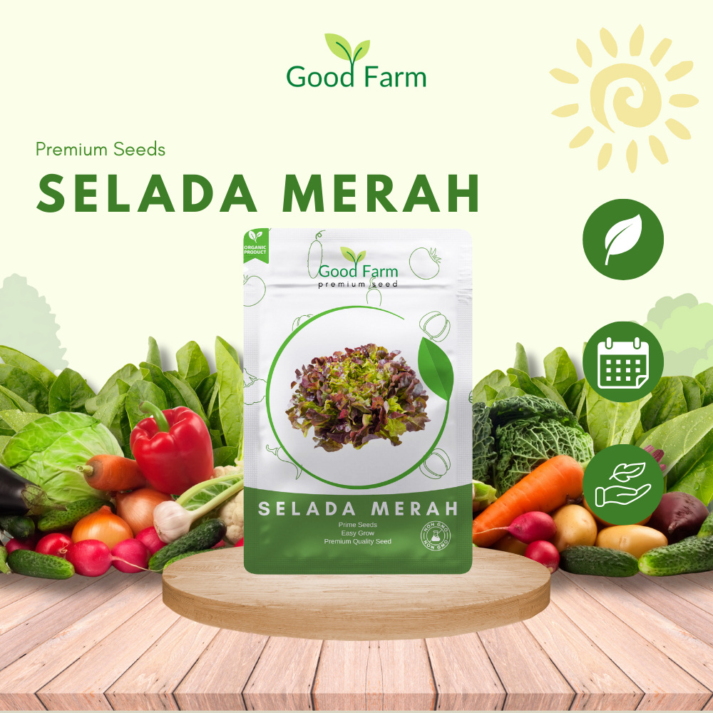 GoodFarm - Benih Selada Merah Premium Kemasan Urban Farming