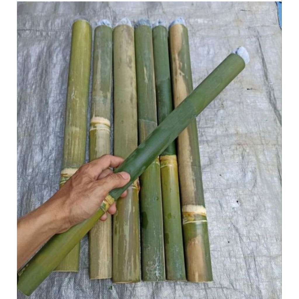 Jual Obor bambu siap pakai panjang 50-60 cm untuk acara pramuka ...