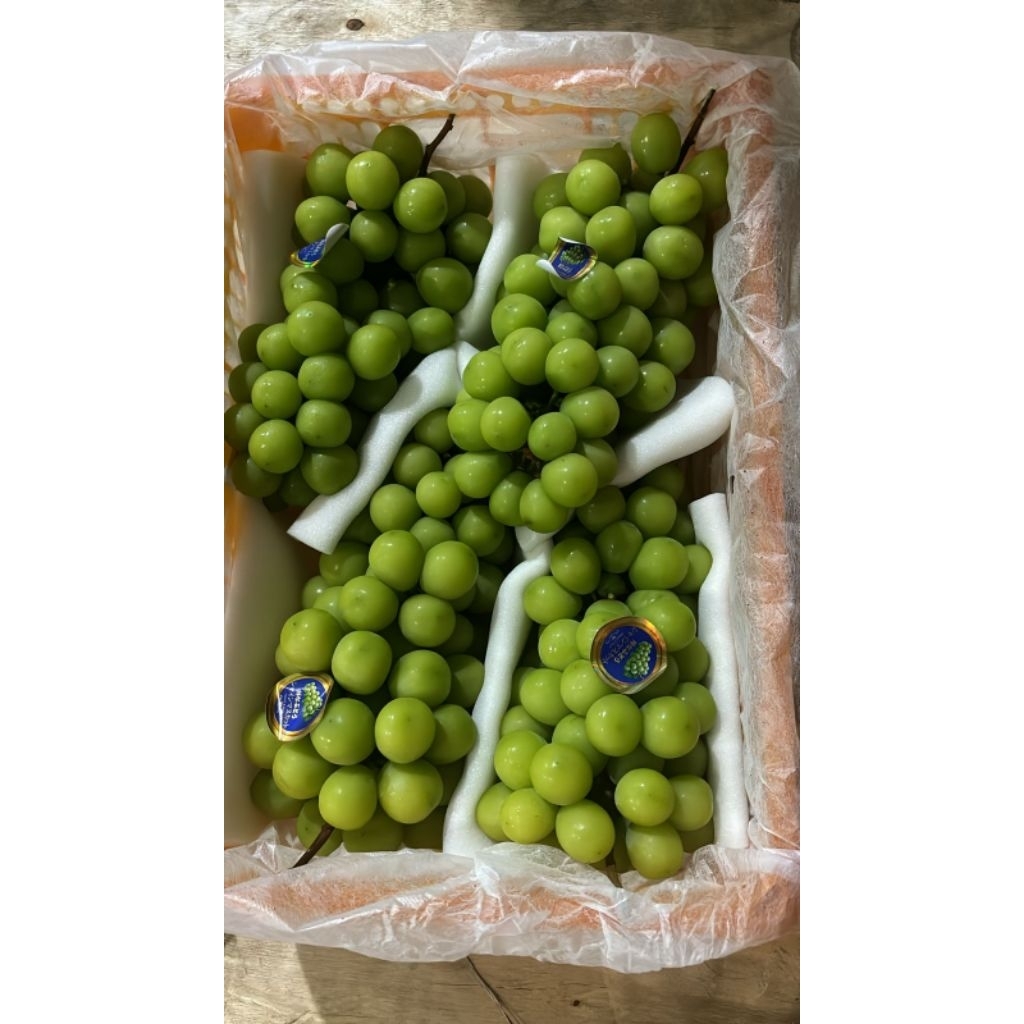 Jual Anggur muscat 1 kg | Shopee Indonesia