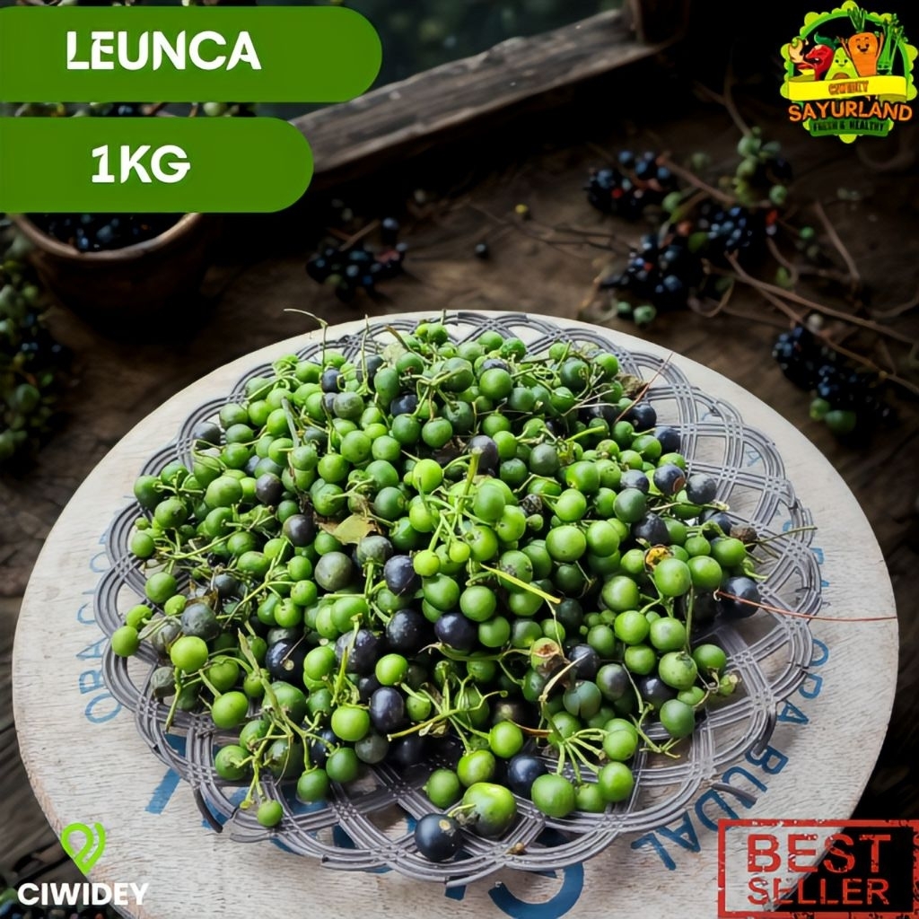 Jual Leunca Fresh Bandung 250gr Ranti Segar Lenca Asli Petani Ciwidey ...