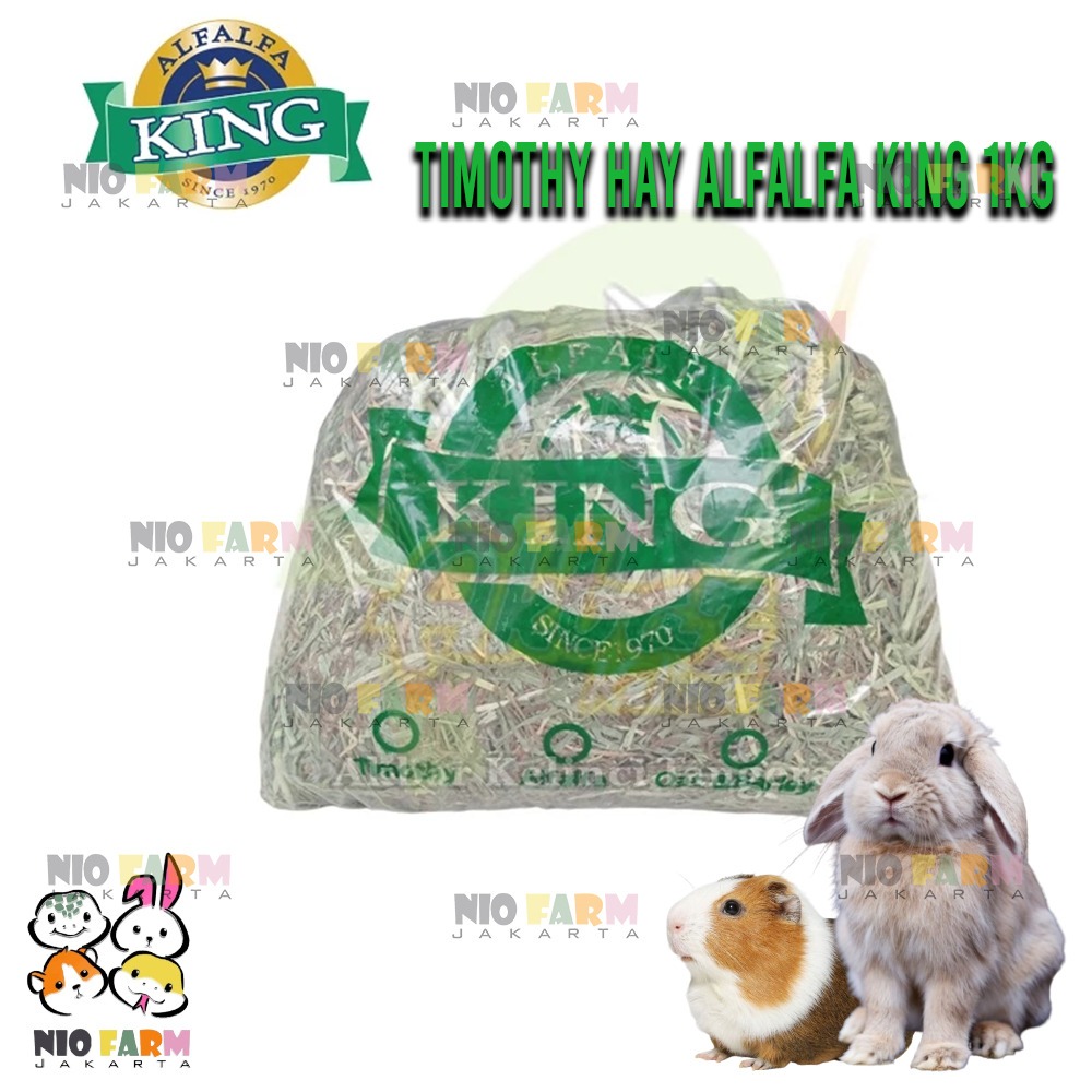 Jual Timothy Hay Alfalfa King 1 kg Rumput Kering Premium Serat Tinggi ...