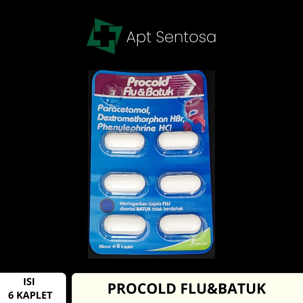 Jual Procold Flu 1 LEMBAR / Lembar | Shopee Indonesia